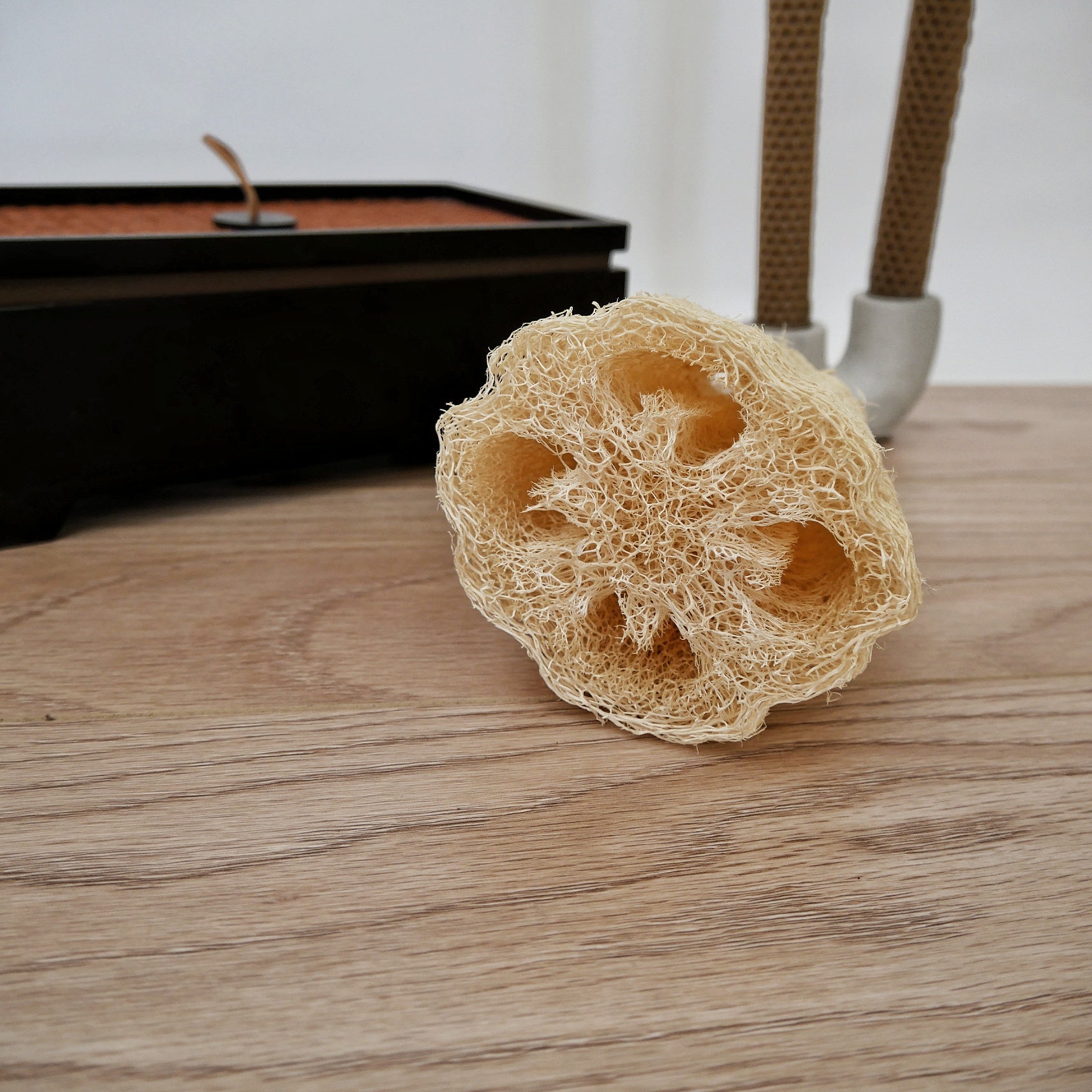 Luffa