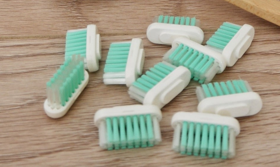 Tête de recharge pour brosse à dents